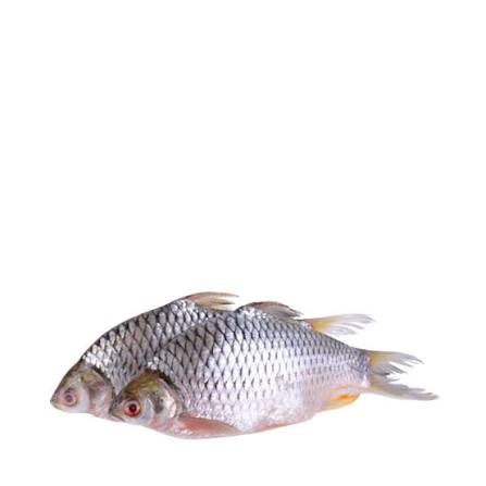 Deshi Sarputi Fish ±30 gm 500 gm