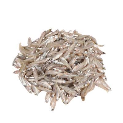 Kaski Fish ±15 gm 250 gm