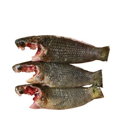 Koi Fish Processed ±50 gm 1 kg