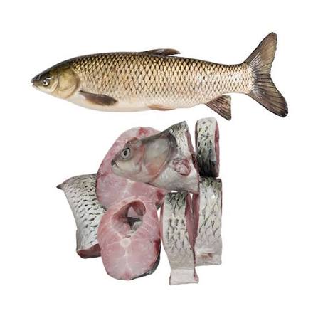 Grass Carp Fish After Cutting ±50 gm 1 kg